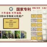 Guizhou Miao Laoji Dianjin проходит поясничный пластырь боль боли на колене, а телят кислый боль на шее и талия выстрел