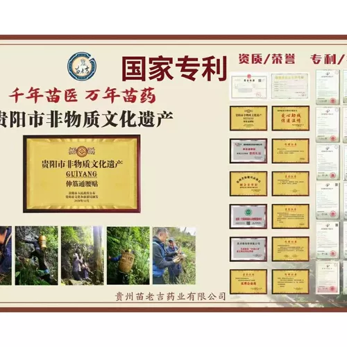 Guizhou Miao Laoji Dianjin проходит поясничный пластырь боль боли на колене, а телят кислый боль на шее и талия выстрел