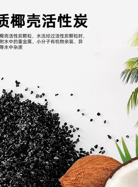 苏尔快接后置活性炭滤芯