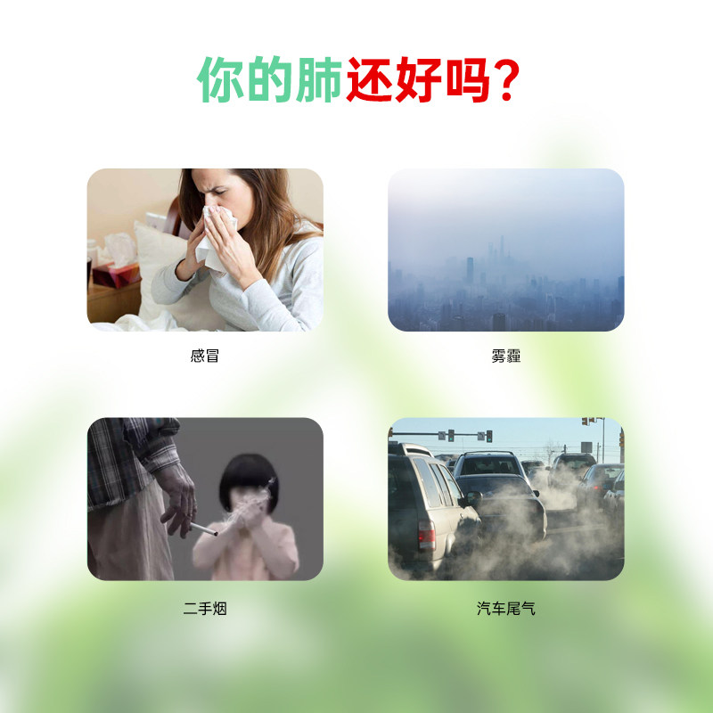 北维克复合槲皮素维生素清肺片养肺 NordiVik海外其它植物提取物