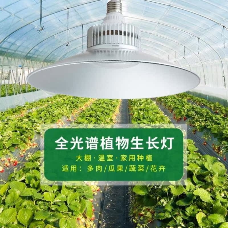 Led植物栽培灯 新人首单立减十元 22年2月 淘宝海外