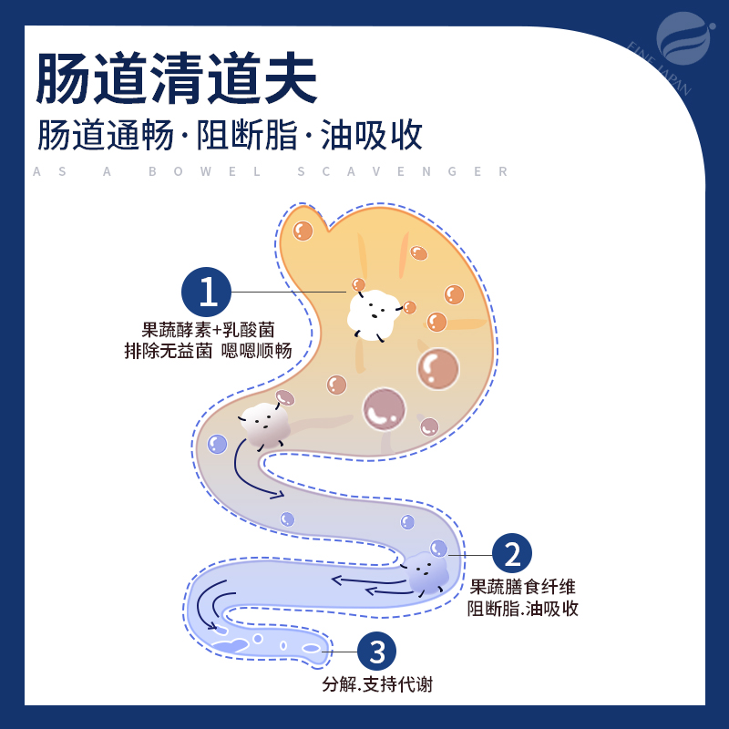 FINE夜间酵素日本进口清肠宿便植物果蔬发酵益生菌白芸豆分解孝素