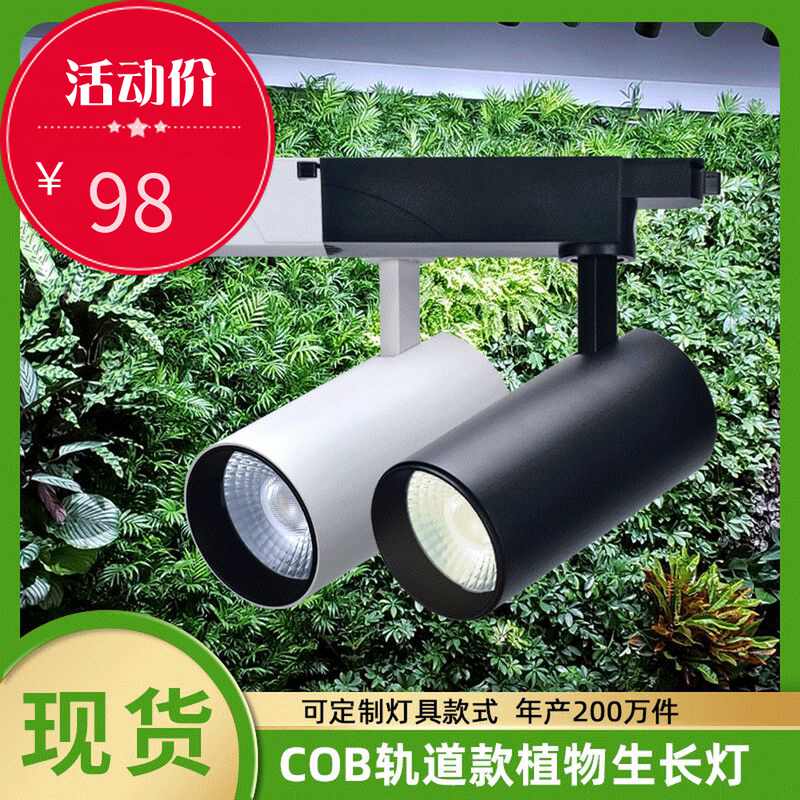 Led多肉植物灯 新人首单立减十元 21年8月 淘宝海外