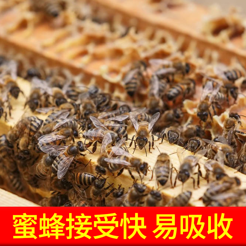 花粉浆油菜花粉膏喂蜂养蜂中蜂专用蜜蜂饲料蜂粮花粉天然正品包邮