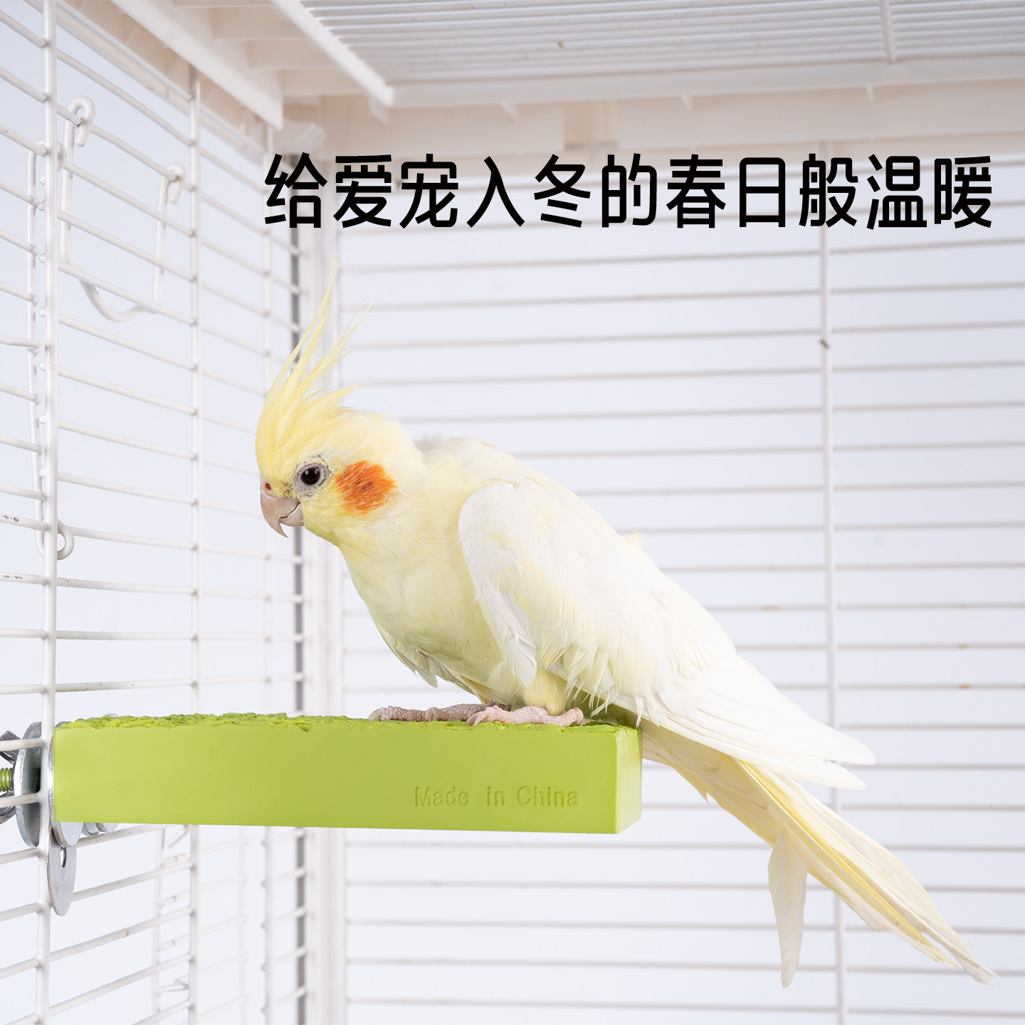 鹦鹉加热站板取暖器过冬神器玄凤牡丹专用冬季取暖保暖器恒温站杆,淘宝优惠券,粉丝福利购,淘宝优惠卷