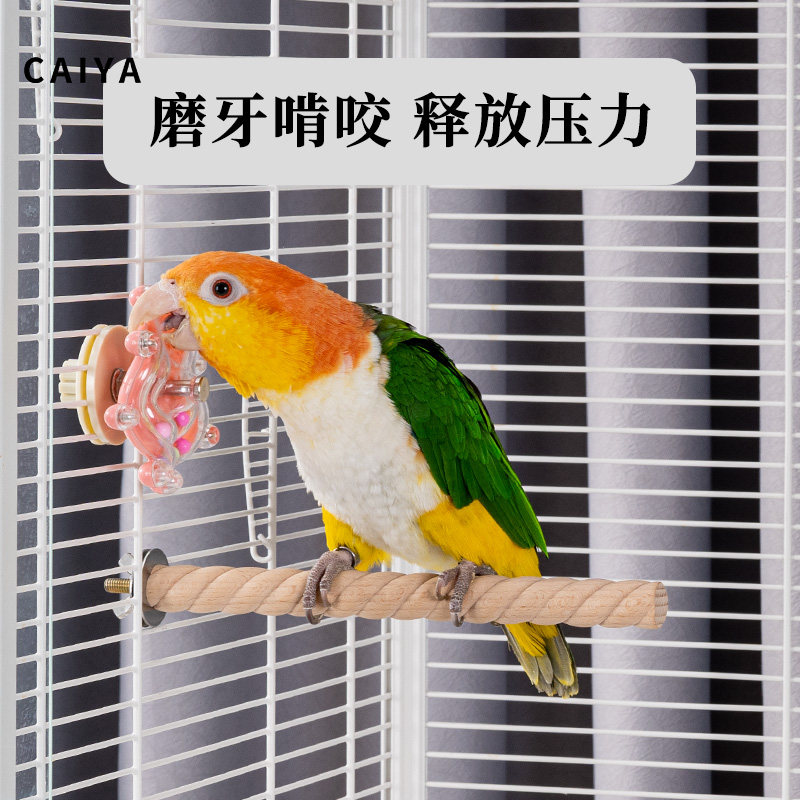 鹦鹉玩具飞碟转转乐牡丹和尚啃咬益智解闷自嗨用品大全鸟笼配件,淘宝优惠券,粉丝福利购,淘宝优惠卷