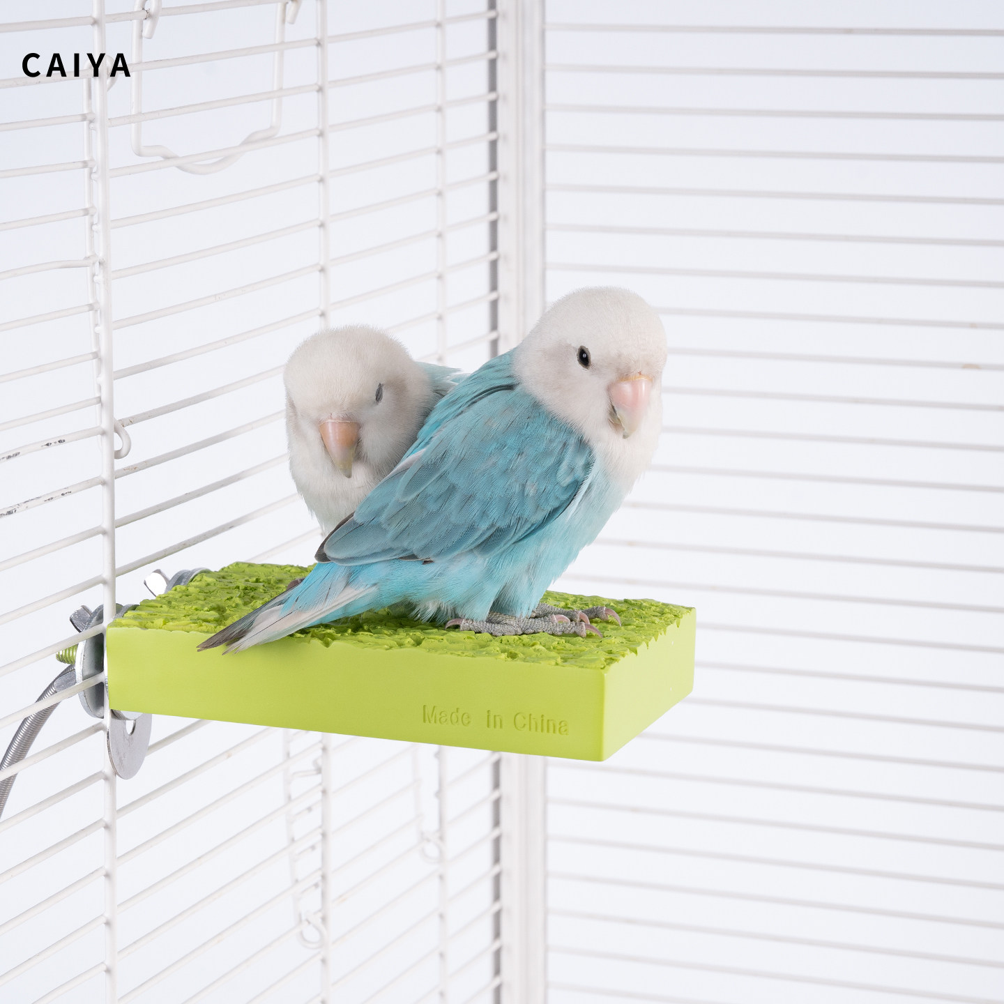 鹦鹉加热站板取暖器过冬神器玄凤牡丹专用冬季取暖保暖器恒温站杆,淘宝优惠券,粉丝福利购,淘宝优惠卷