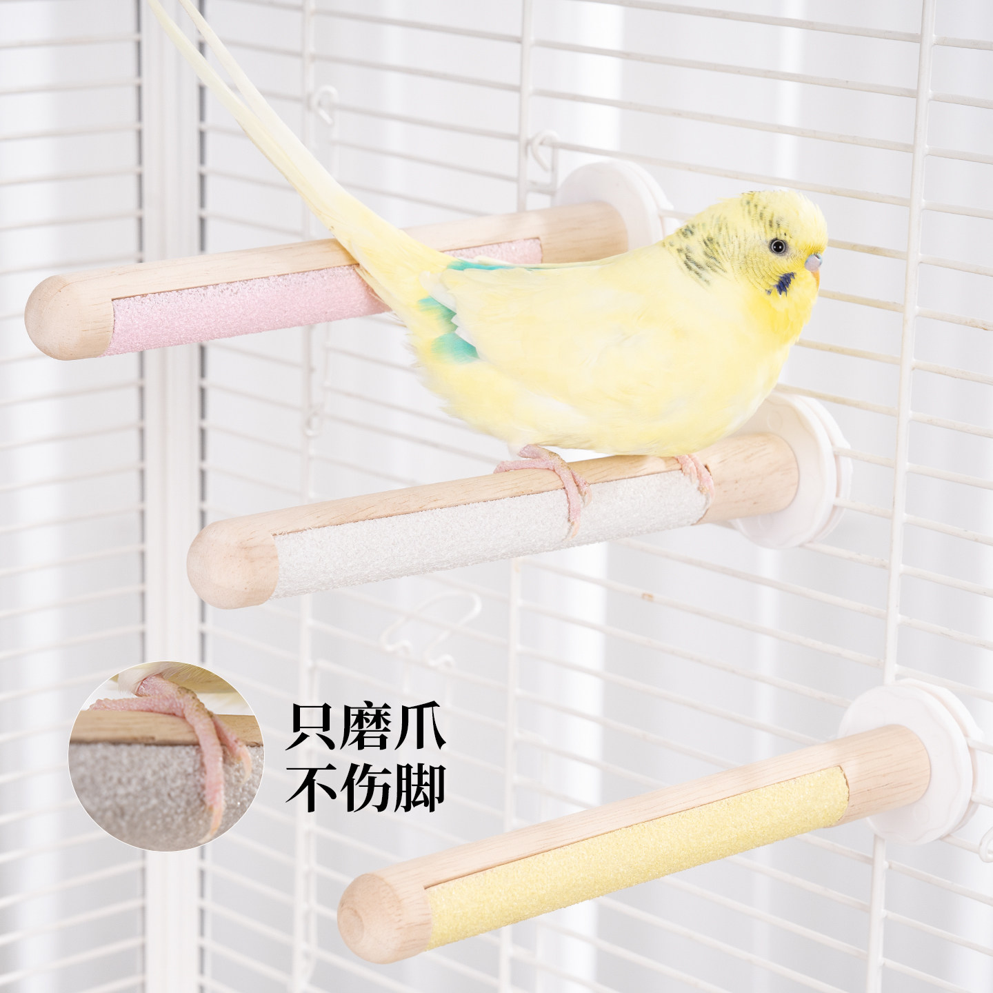 鹦鹉双拼磨砂磨爪棒站杆玄风牡丹专用实木站棍鸟笼配件啃咬玩具,淘宝优惠券,粉丝福利购,淘宝优惠卷