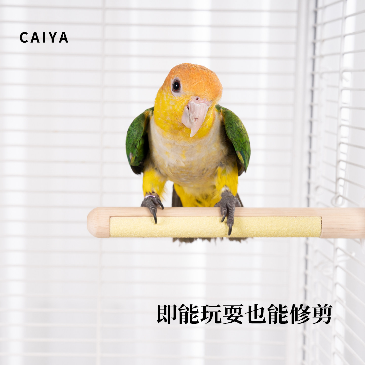 鹦鹉双拼磨砂磨爪棒站杆玄风牡丹专用实木站棍鸟笼配件啃咬玩具,淘宝优惠券,粉丝福利购,淘宝优惠卷