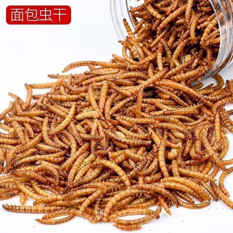 仓鼠粮食营养面包虫干淡水鱼干虾干仓鼠小零食金丝熊粮食鼠粮主食,淘宝优惠券,粉丝福利购,淘宝优惠卷