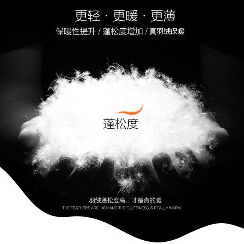 雪中飞男2021新款轻薄短款轻便超薄 雪中飞青豆羽绒服