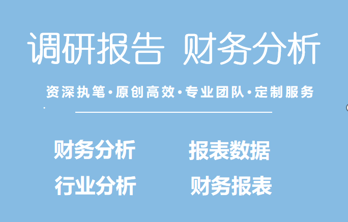 财务分析报告财务数据分析上市公司报表行业调研咨询前景提供会计 - 图0