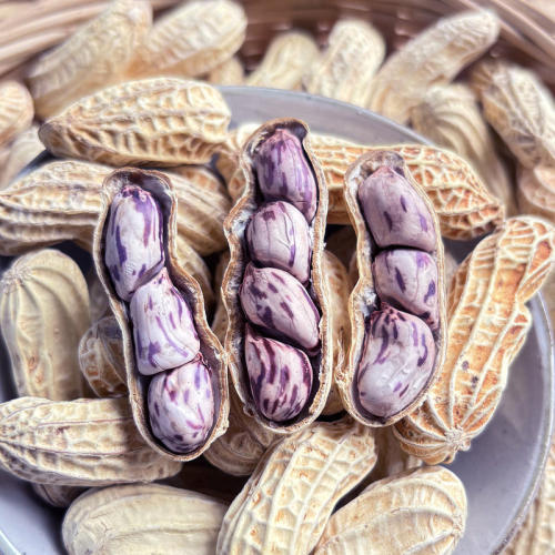 2025云南七彩花生水煮咸干晒干五彩花生龙岩湿烤金刚彩色花生 - 图2