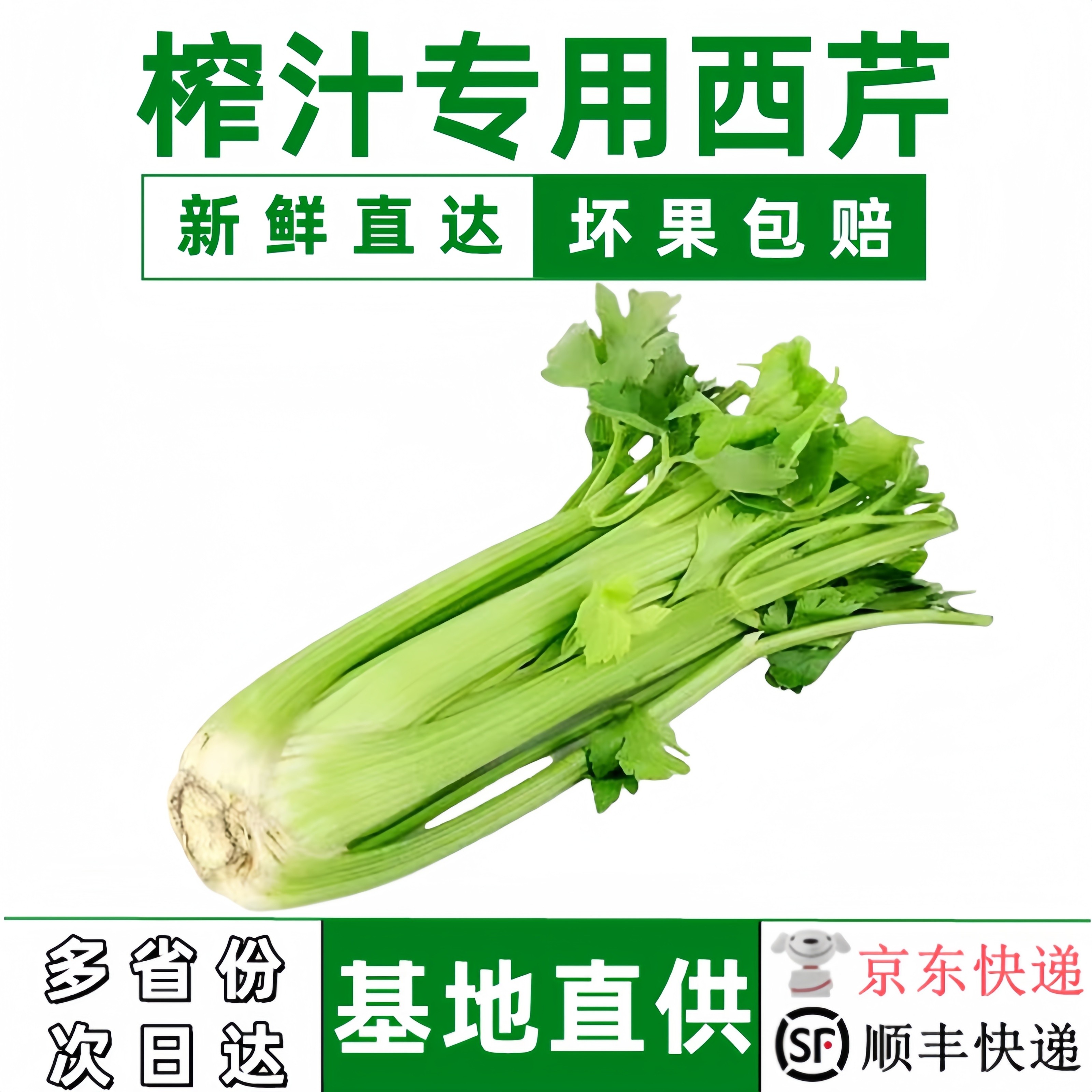 【顺丰包邮】寿光大西芹新鲜蔬菜去叶西洋芹脆嫩芹菜榨汁专用西芹