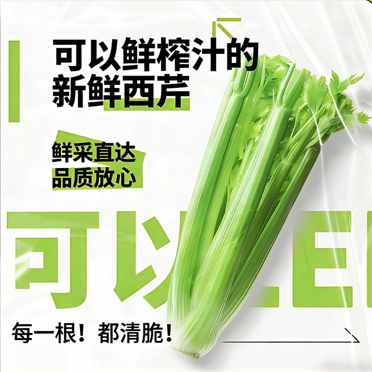 【顺丰冷链】新鲜西芹大棵半叶芹菜榨汁专用山东寿光时令蔬菜3斤5