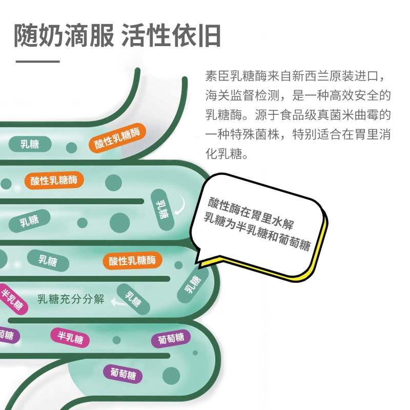 素臣高含量乳糖酶婴儿月宝新生儿滴剂不耐受酸性乳糖酶新西兰进口 - 图1