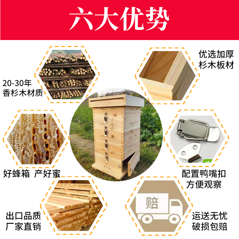 格子箱2cm厚中蜂蜂箱全套杉木养蜜蜂工具诱蜂桶五层方格子蜂箱 - 图2