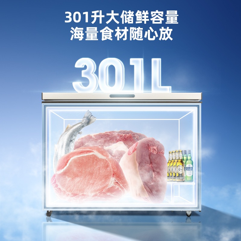 meiling /美菱bc / bd-301dt冷柜 美菱暖欣冷柜