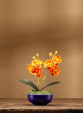 粉蝶兰仿真盆景中式禅意