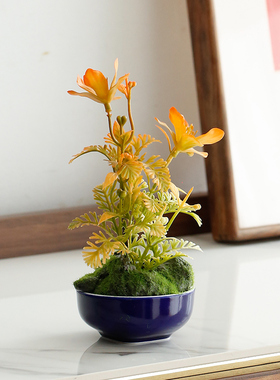 绿植仙人掌仿真盆景客厅