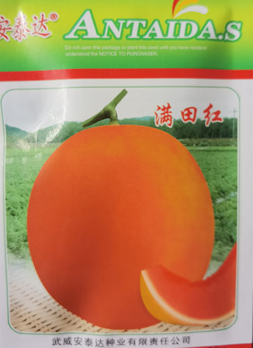 黄河蜜瓜满田红伊丽莎白甜瓜种子红皮红肉薄皮早熟香瓜哈密瓜种孑 - 图3