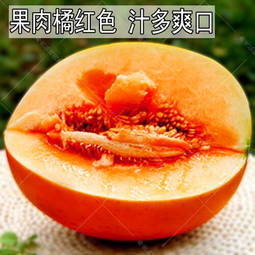 黄河蜜瓜满田红伊丽莎白甜瓜种子红皮红肉薄皮早熟香瓜哈密瓜种孑 - 图1