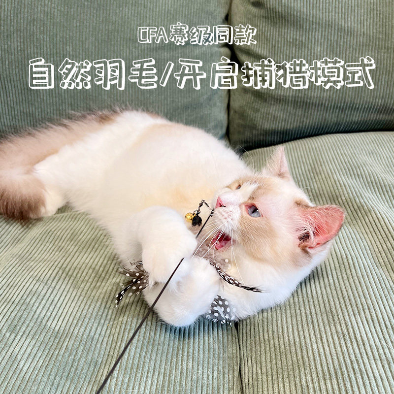 CFA赛级逗猫棒猫玩具自嗨解闷长杆羽毛耐咬可替换头猫咪用品大全 - 图0