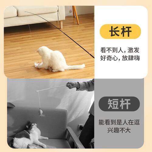 逗猫棒长杆多款替换头1.8m超长可伸缩钓猫杆耐咬羽毛带铃铛猫玩具 - 图3