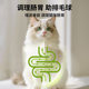 Catnip teething stick to relieve boredom