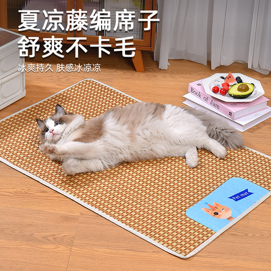 Pet mat cat mat