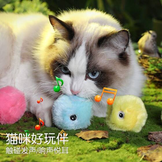 Cat Toys Self-Happiness and Boredom Relief Artifacts Collection of Cat Supplies