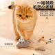 Cat Toy Electric Mouse Self-Entertainment Relieve Boredom Amusing Cat Artifact