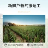 TJE Увлажняющий успокаивающий гель алоэ вера, 150г, анти-акне