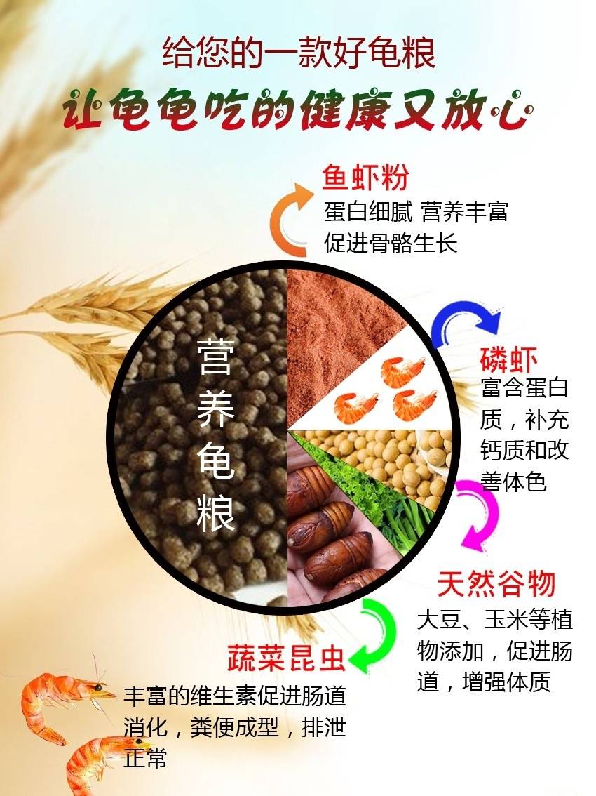 。包邮龟粮石金钱乌龟饲料鳄龟粮巴西龟料小甲鱼苗饲料水陆幼龟鱼 - 图2