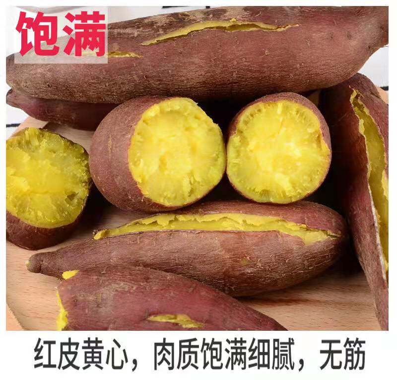 山东新鲜农家蜜薯糖心食用板栗红薯 薯根香番薯
