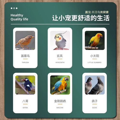赢宠鹦鹉一嘀灵牡丹玄风虎皮小太阳鹦鹉单眼伤风期营养补充鸟用品 - 图3