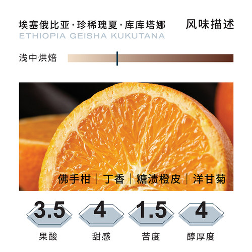 Torch炬点咖啡 埃塞班奇玛吉瑰夏 库库塔娜 日晒手冲精品咖啡豆 - 图1