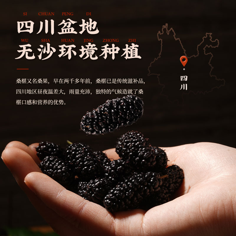 胡庆余堂官方旗舰店正品桑葚干桑椹干泡茶泡酒黑桑葚果干250g-图1