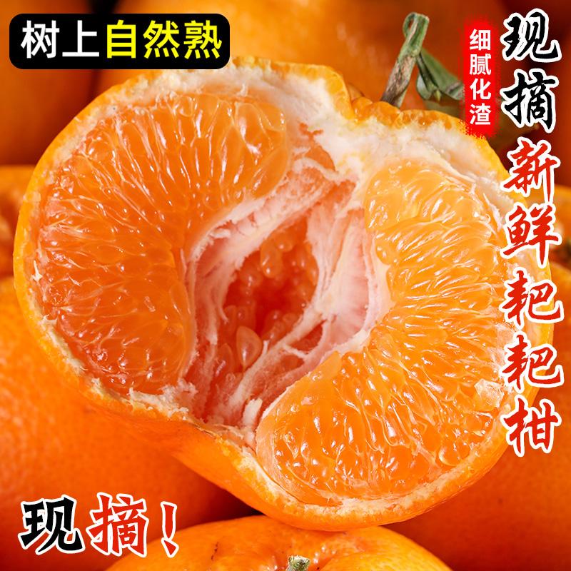 正宗四川春见耙耙柑时令水果新鲜整箱当季10丑八怪粑粑柑桔斤橘子