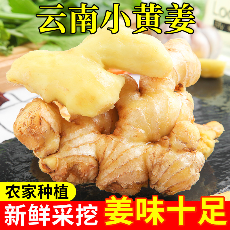 云南小黄姜新鲜生姜现挖当季5斤子姜南姜泡芽姜批发10农家嫩仔姜