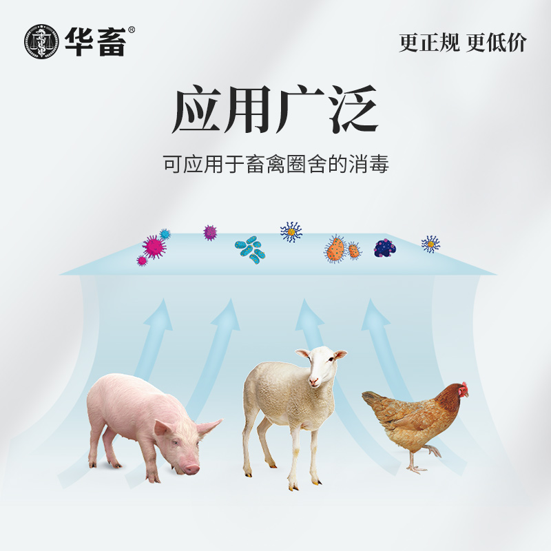 华畜烟熏消毒散兽用烟熏王猪牛羊鸡舍养殖场熏蒸烟雾消毒粉消毒剂 - 图2