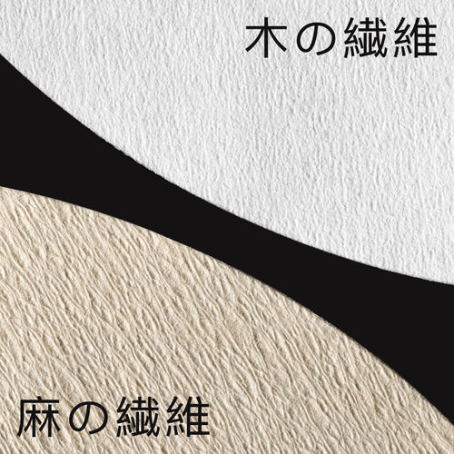 日本MOLA三洋手冲咖啡滤纸麻纤维V60 V45锥形滴漏过滤纸45度 - 图1