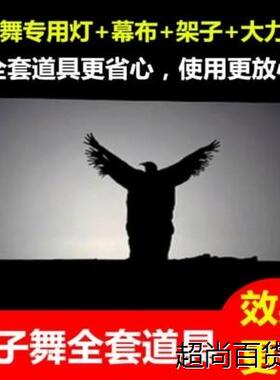 灯架灯光布投影影子舞幕布道具皮影戏学校联欢晚会剧院人影手舞蹈