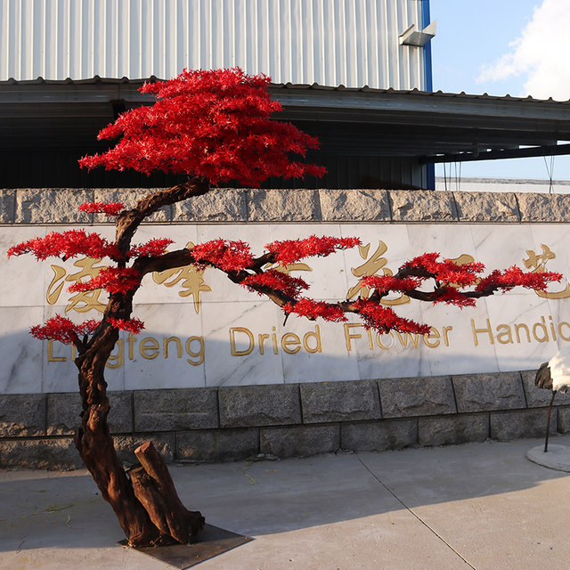 Welcome red maple tree landscaping plants simulated maple leaf tree Welcome red maple tree landscaping plants simulated maple leaf tree