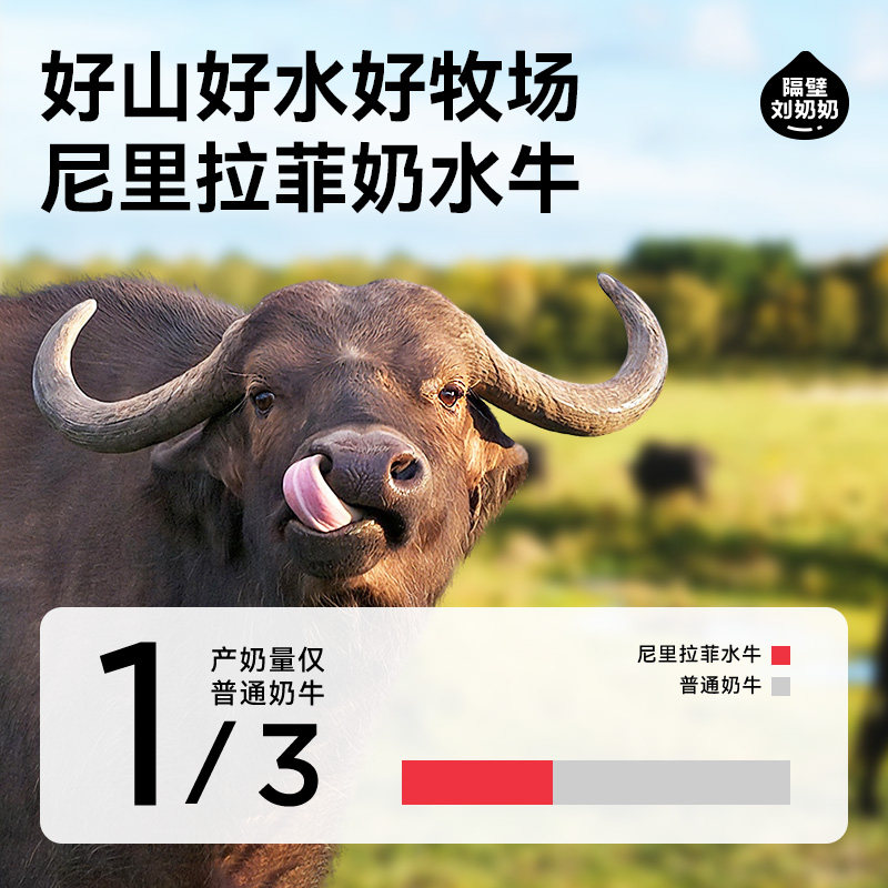 【交个朋友6周年庆典】隔壁刘奶奶水牛配方纯牛奶200ml*10盒*2箱