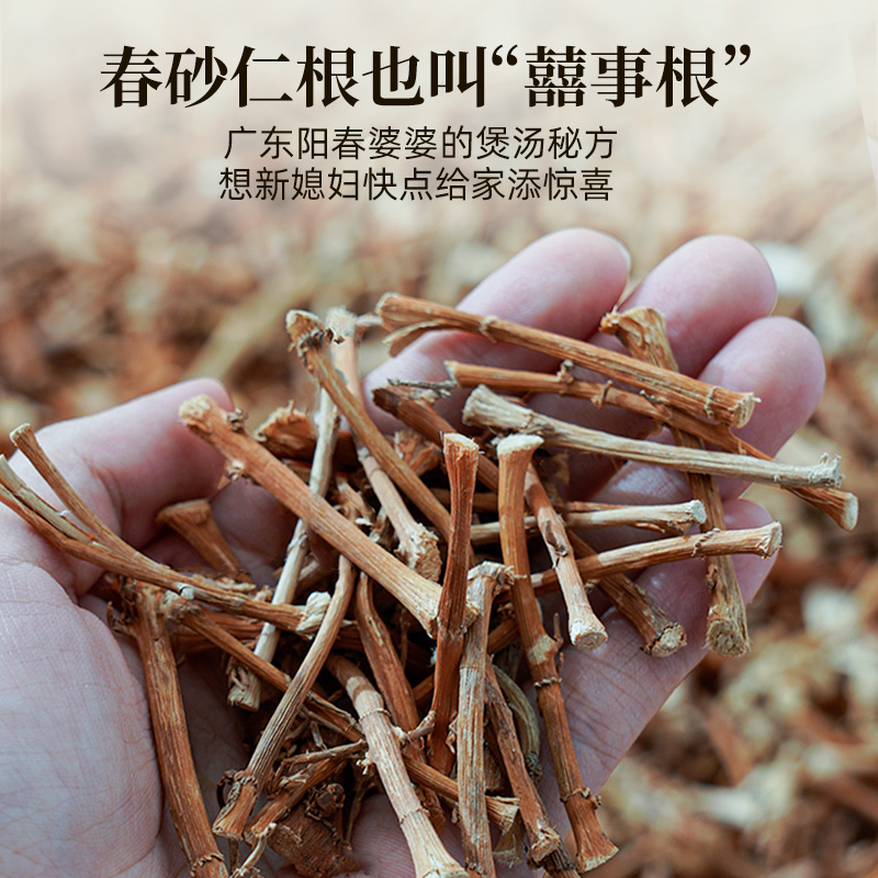 春砂仁根中药材正宗阳春特产广东煲汤泡茶砂仁根干新鲜春沙仁干根 - 图2