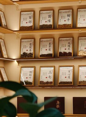 中药标本展示墙中医中药材装饰画中草药标本相框中医文化墙展T196