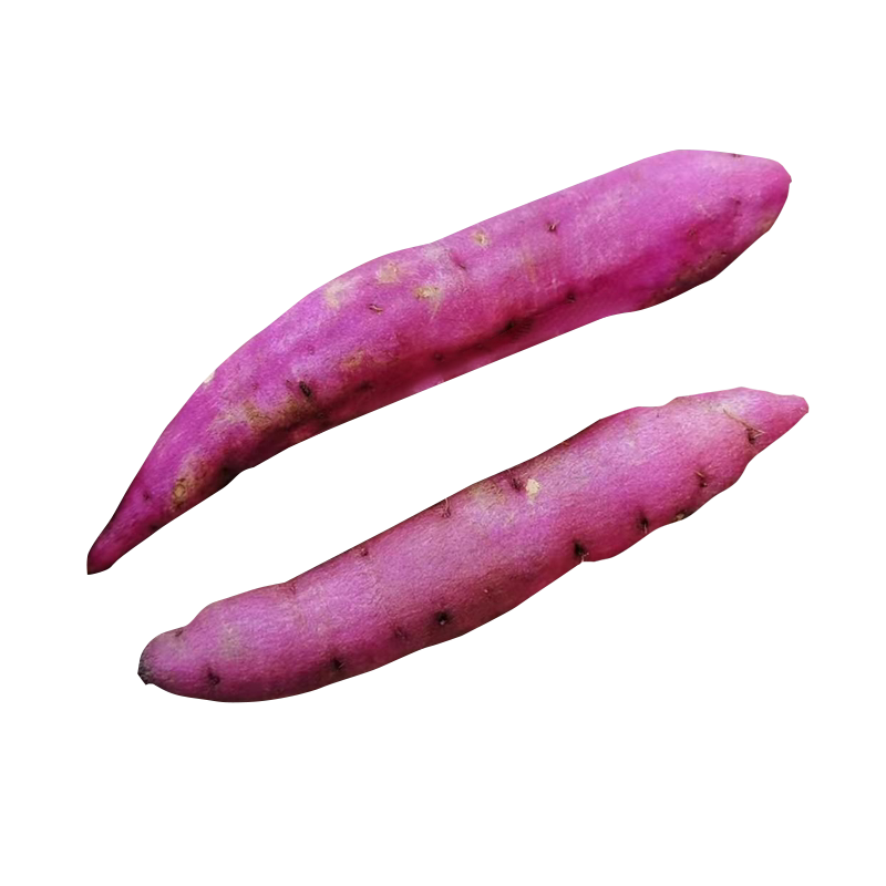 新鲜正宗小香薯海南迷你板栗红薯 鲜尚舞番薯