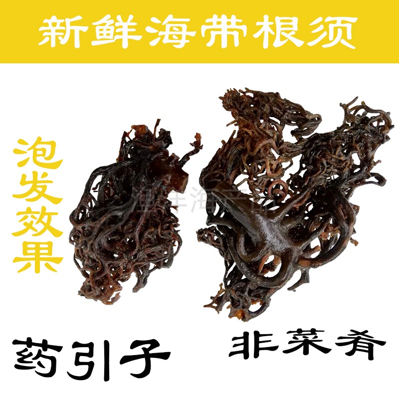 药用干海带根须头干特级厚新货纯日晒无盐药引子1斤散装包邮 - 图1