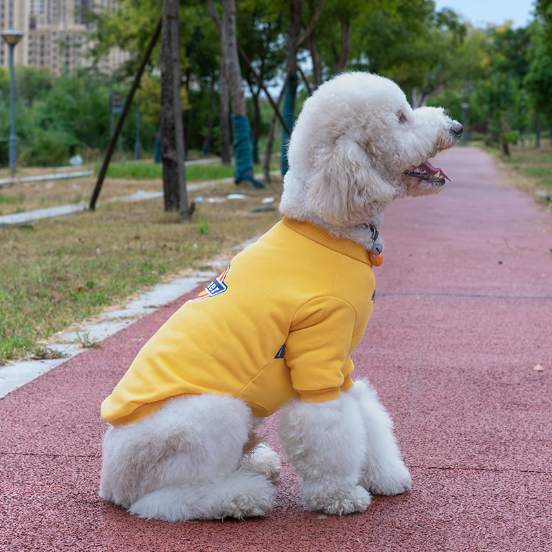 潮牌大型犬衣服秋冬网红金毛边牧杜宾拉布拉多巨贵犬宠物狗狗衣服 - 图2